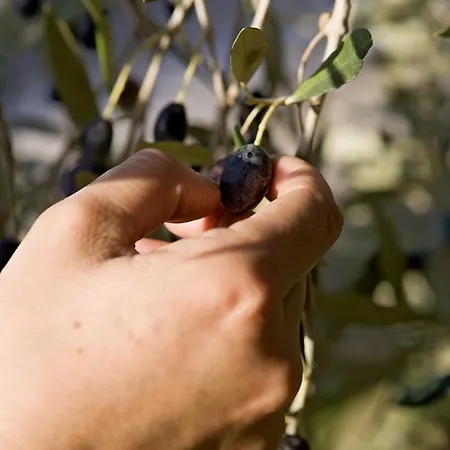 Le Torri Barberino di Val dʼElsa